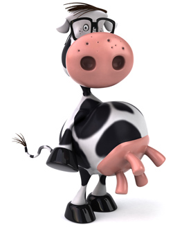 Cartoon cow showing his udders