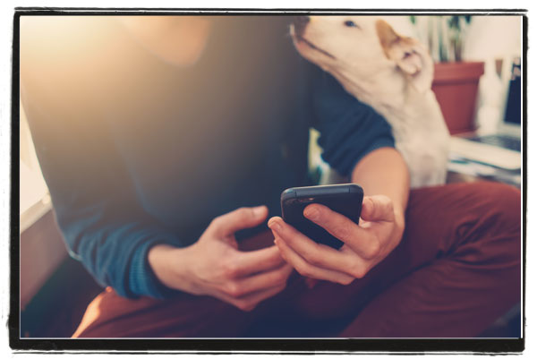 Person sitting with their dog using their smart phone
