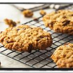 Oatmeal Craisin Walnut Cookies