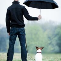Man standing holding an umbrella over his dog in the rain