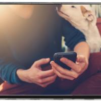 Person sitting with their dog using their smart phone