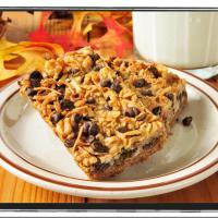 Chocolate Coconut Nutty Bars