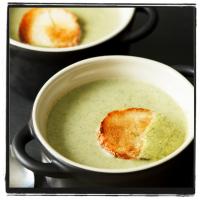 Creamy Broccoli Soup